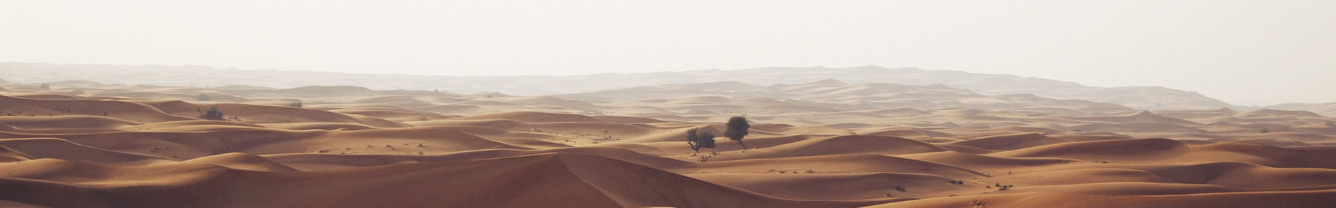 Ƽչ޹˾